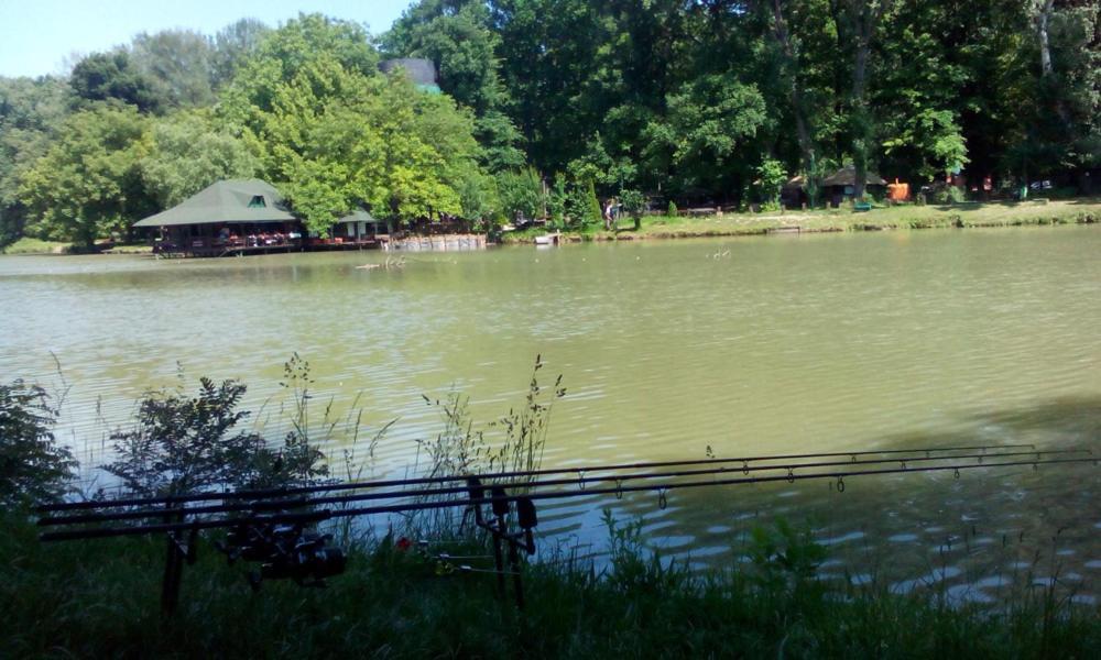 Monia Dream Apartment - Belgrade Lake & Fair Exterior photo