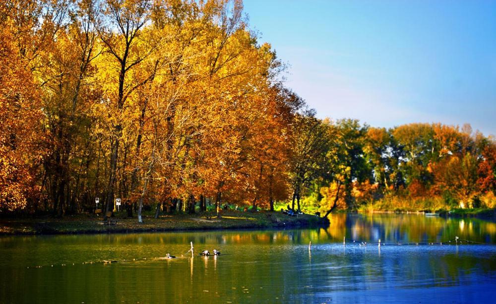 Monia Dream Apartment - Belgrade Lake & Fair Exterior photo
